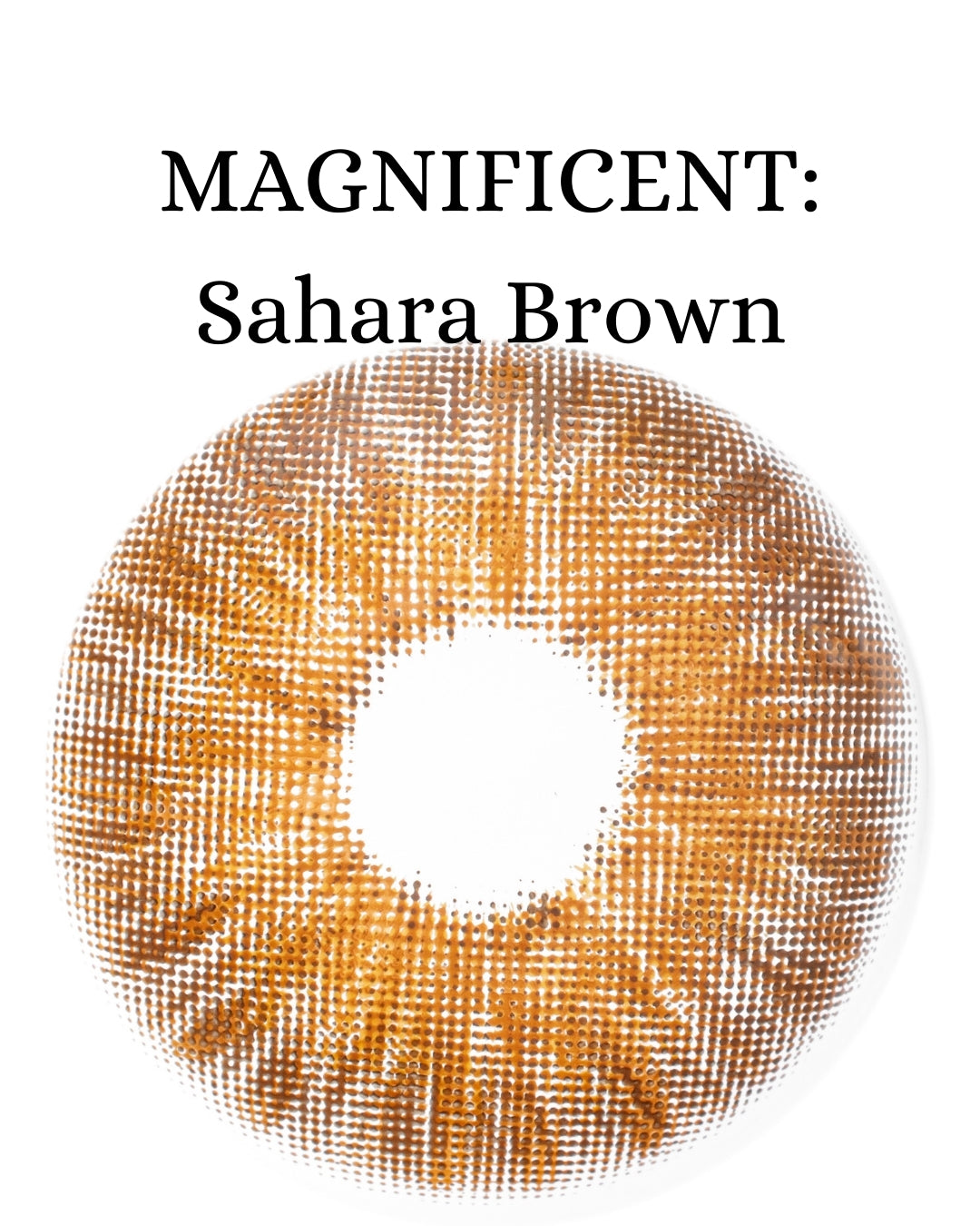 Brown Sahara: Magnificent