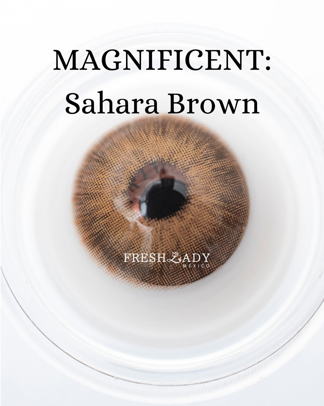 Brown Sahara: MAGNIFICENT CAJA de 10 lentes