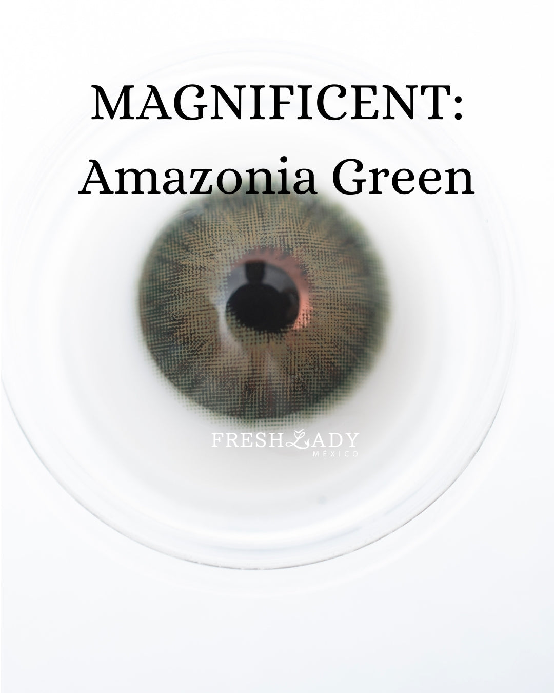 Green Amazonia: MAGNIFICENT CAJA de 10 lentes