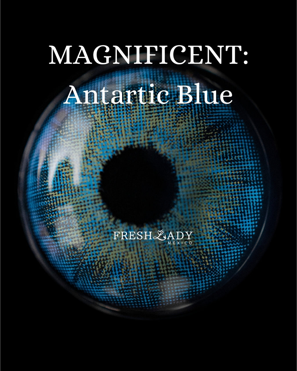 Blue Antartic: Magnificent
