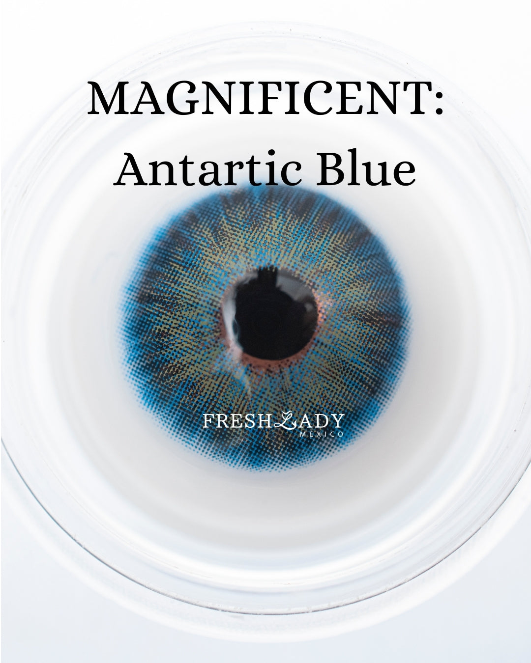 Blue Antartic: MAGNIFICENT CAJA de 10 lentes