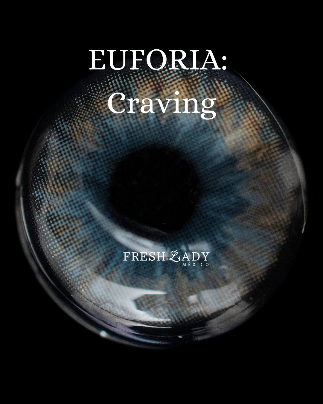 Gray Craving: EUFORIA CAJA de 10 lentes