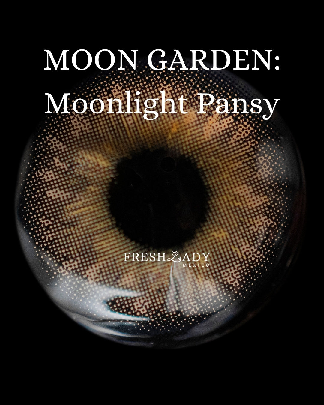 Hazel Moonlight Pansy: MOON GARDEN CAJA de 10 lentes