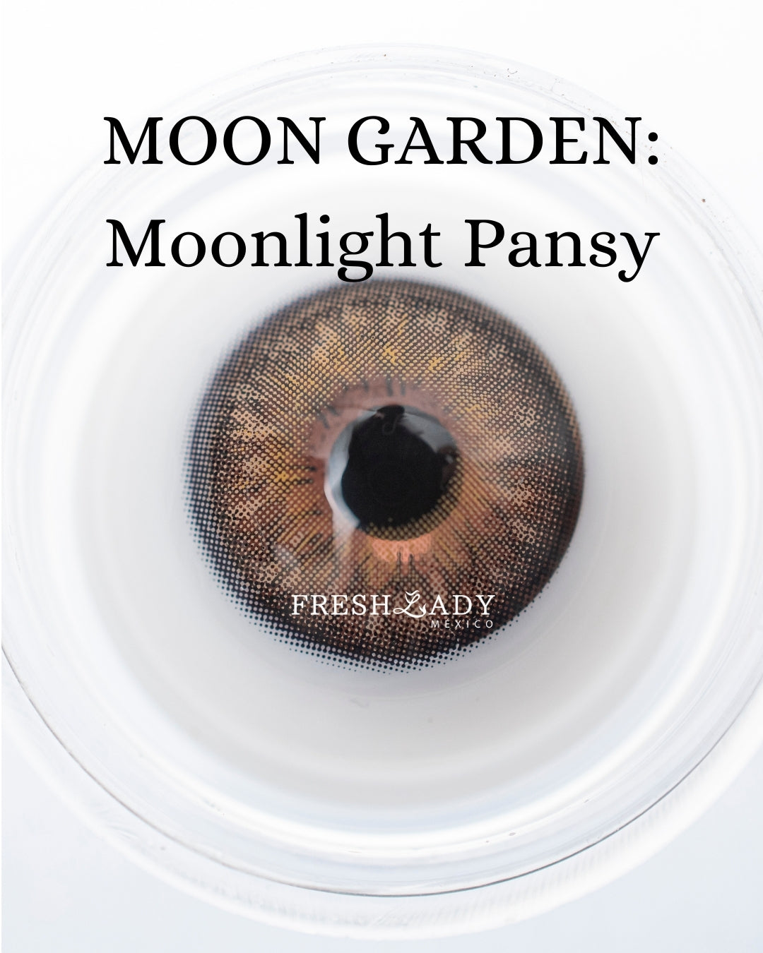 Hazel Moonlight Pansy: Moon Garden