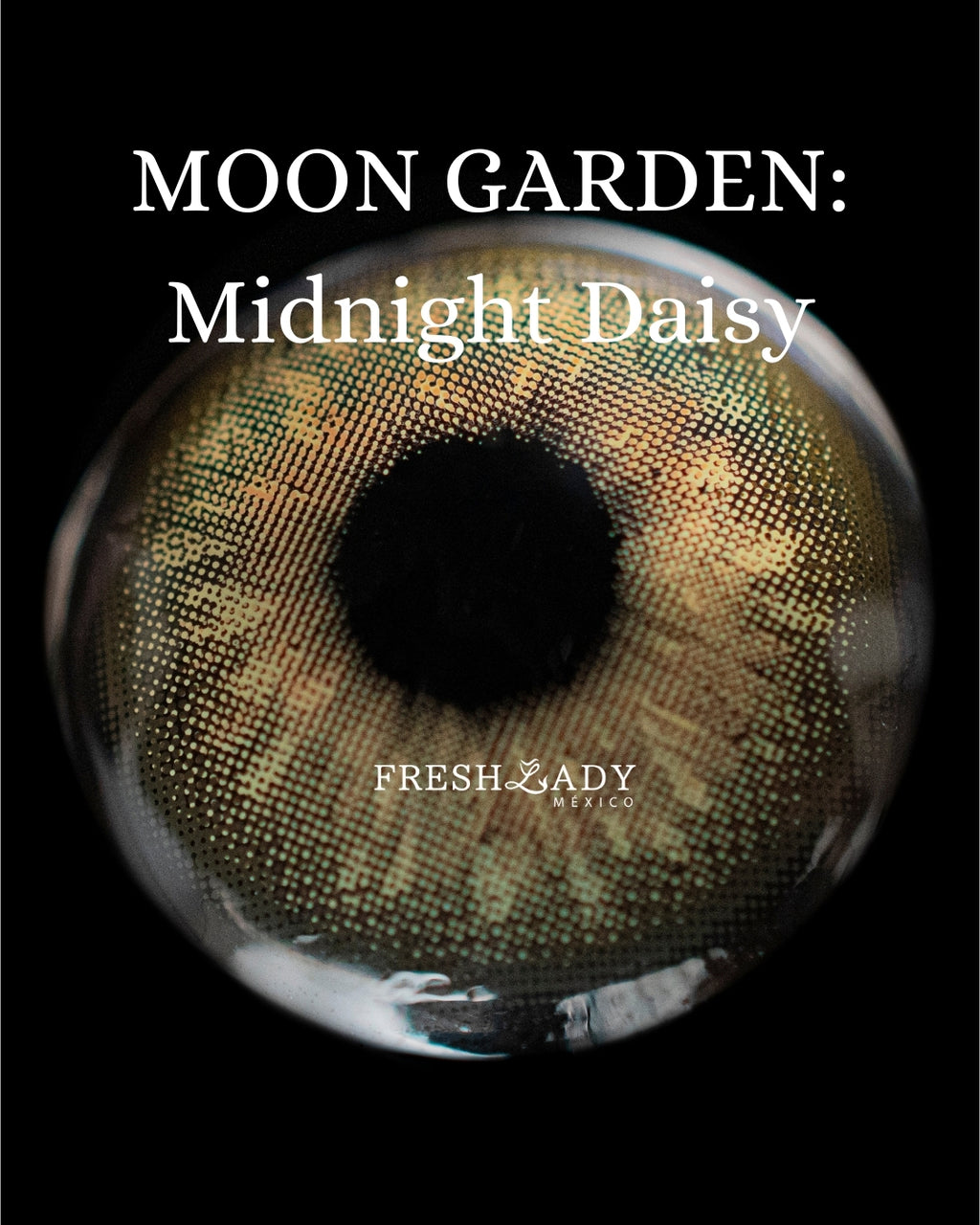 Green Midnight Daisy: MOON GARDEN CAJA de 10 lentes