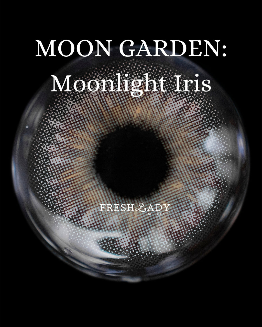 Gray Moonlight Iris: Moon Garden