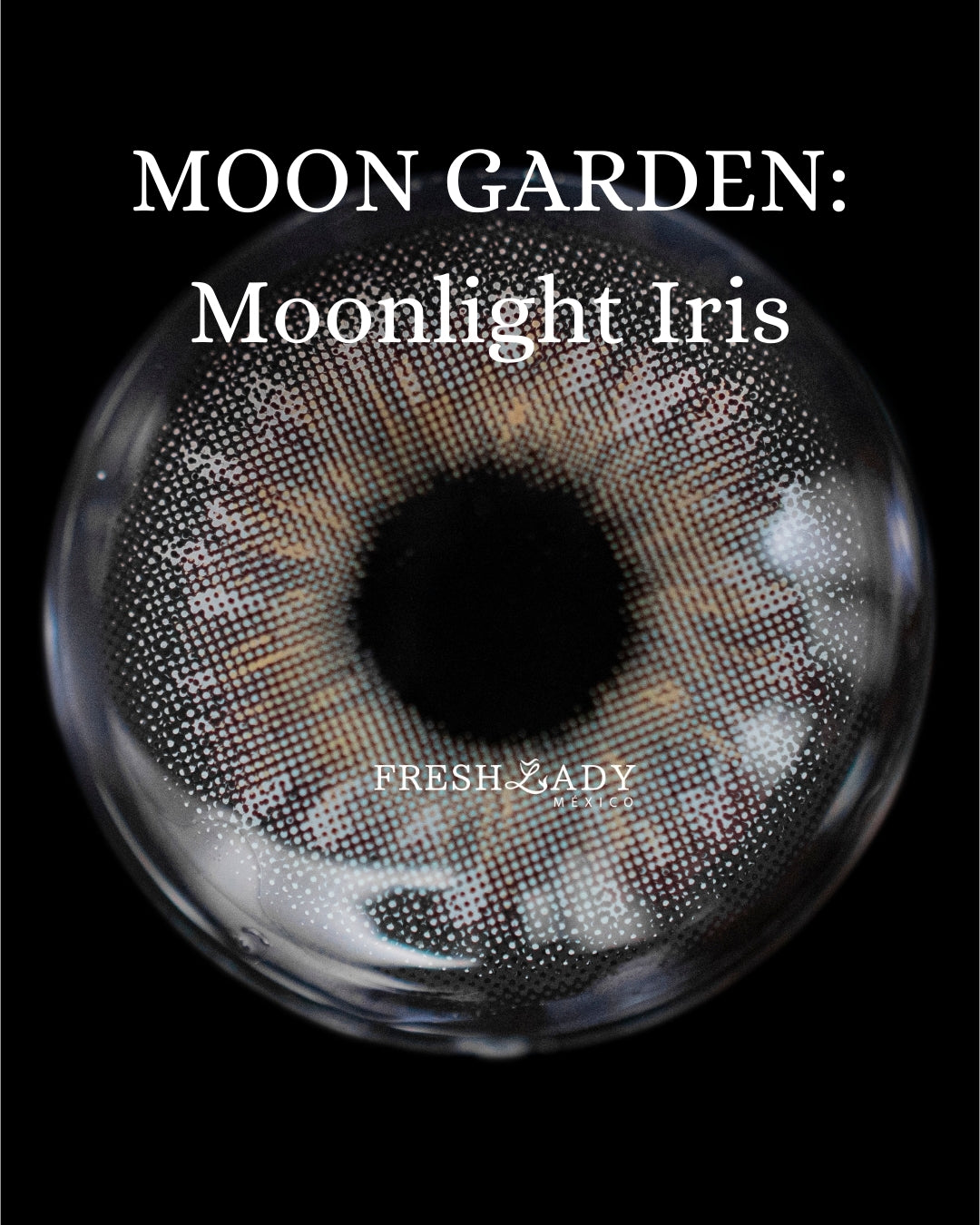 Gray Moonlight Iris: Moon Garden