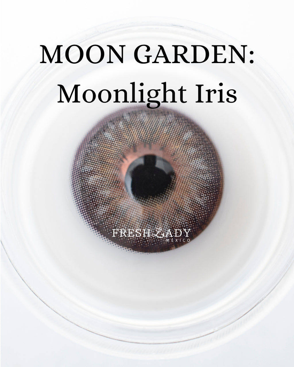 Gray Moonlight Iris: Moon Garden