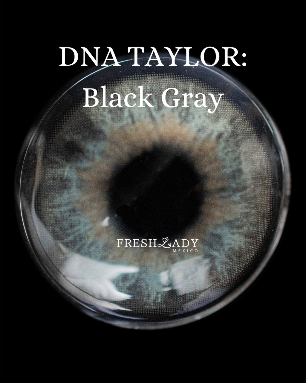 Gray Black: DNA TAYLOR CAJA de 10 lentes