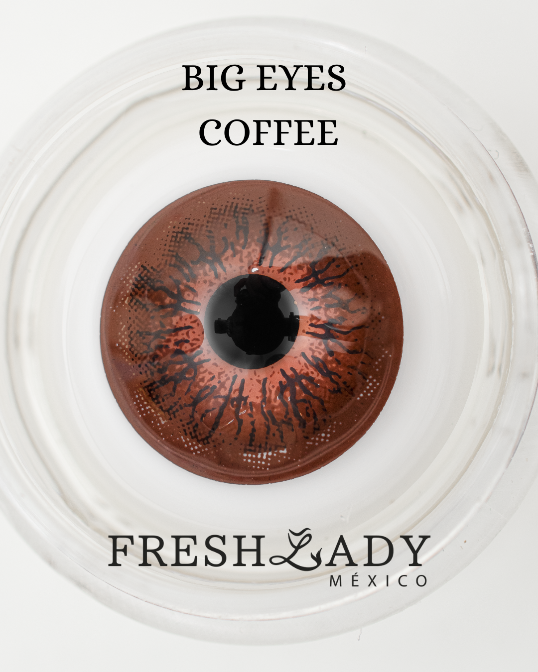 Brown Coffee: BIG EYES CAJA de 10 lentes