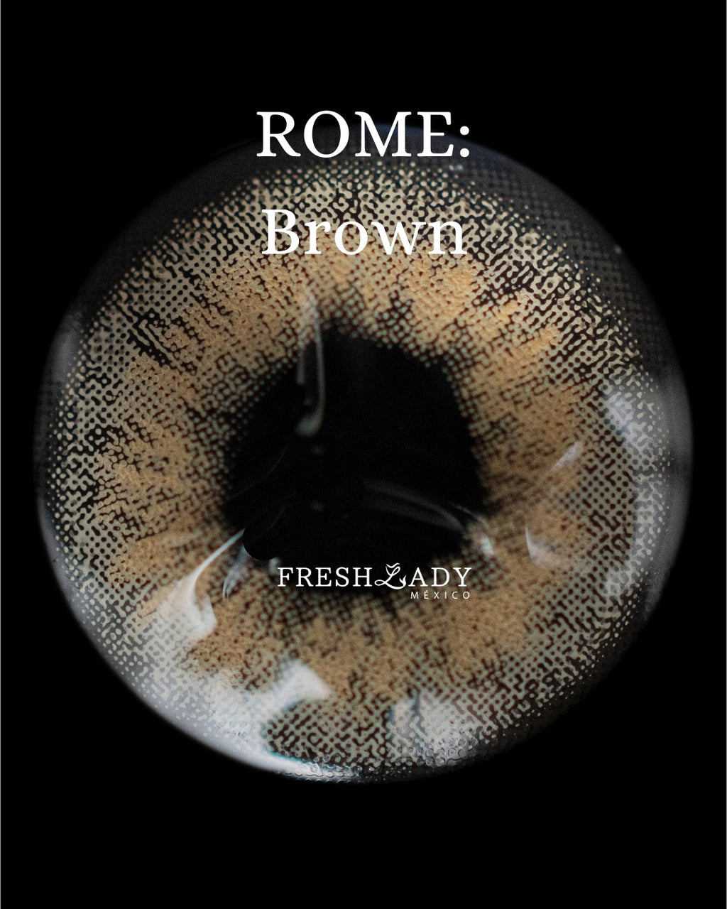 Brown: ROME