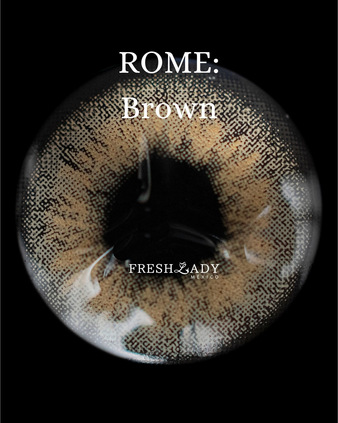 Brown: ROME