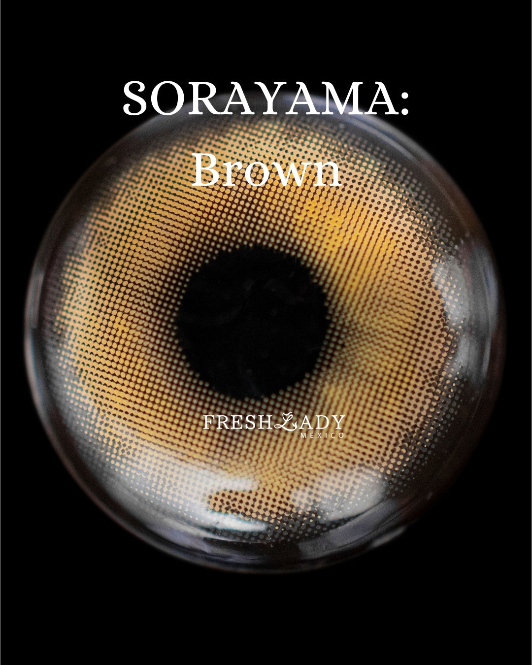 Brown: SORAYAMA