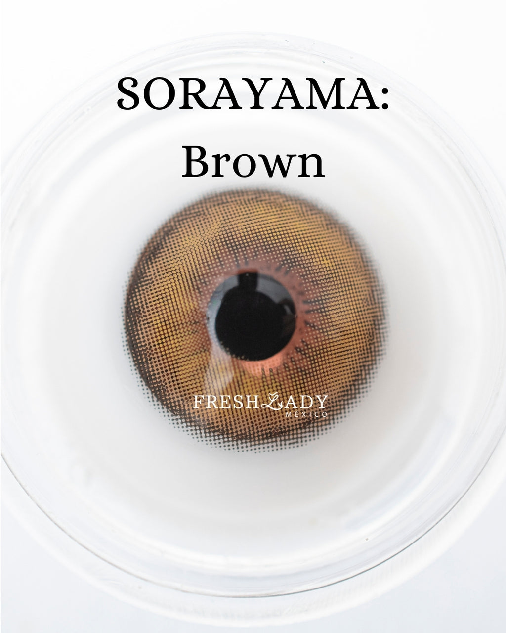 Brown: SORAYAMA