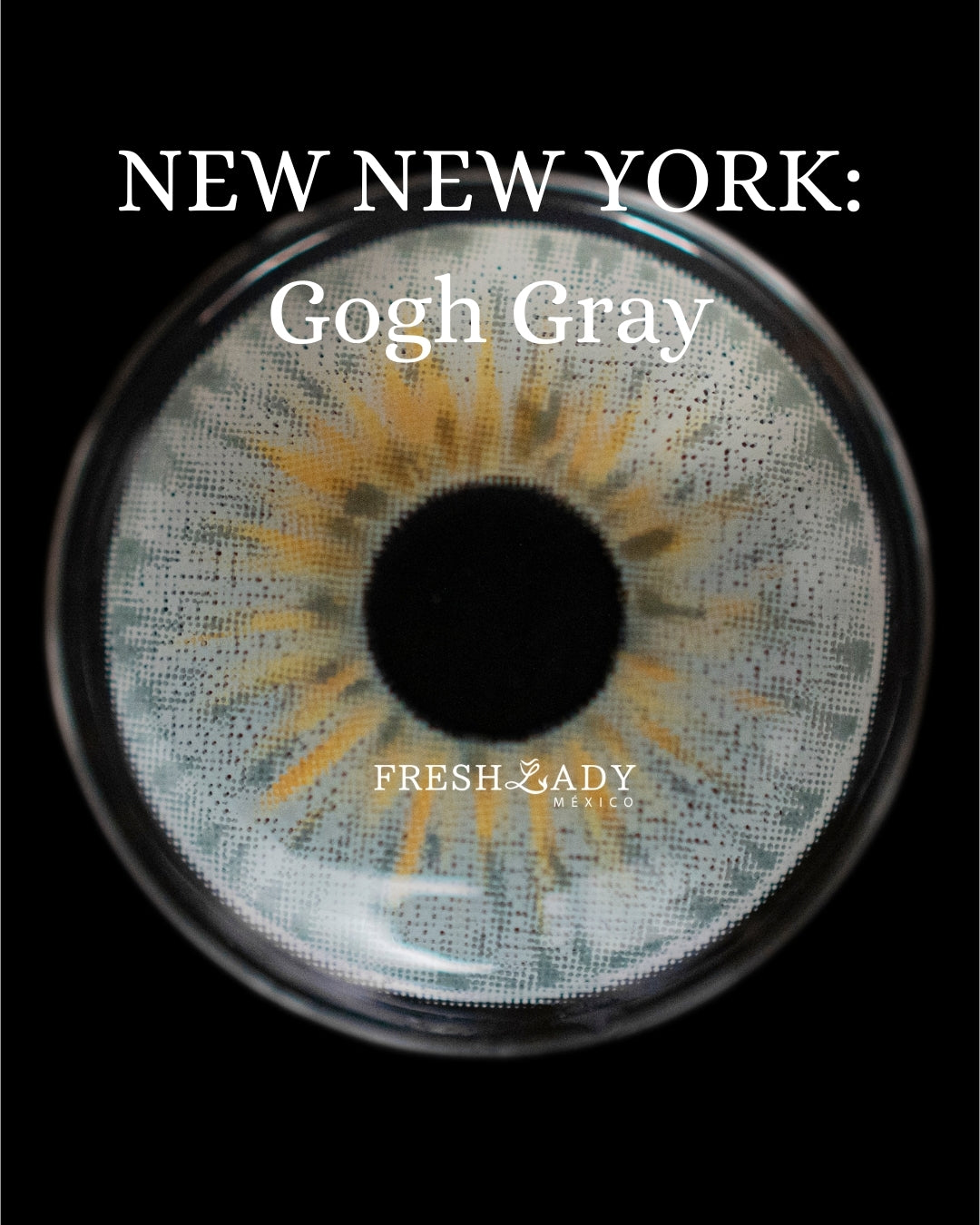 Gray Gogh: New New York