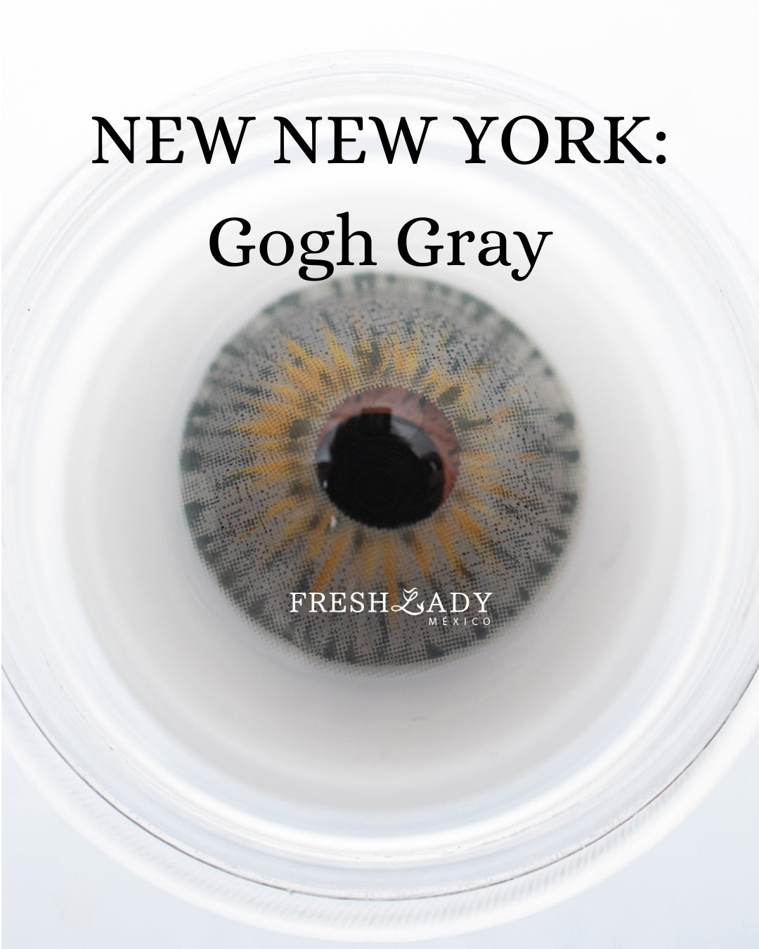 Gray Gogh: New New York