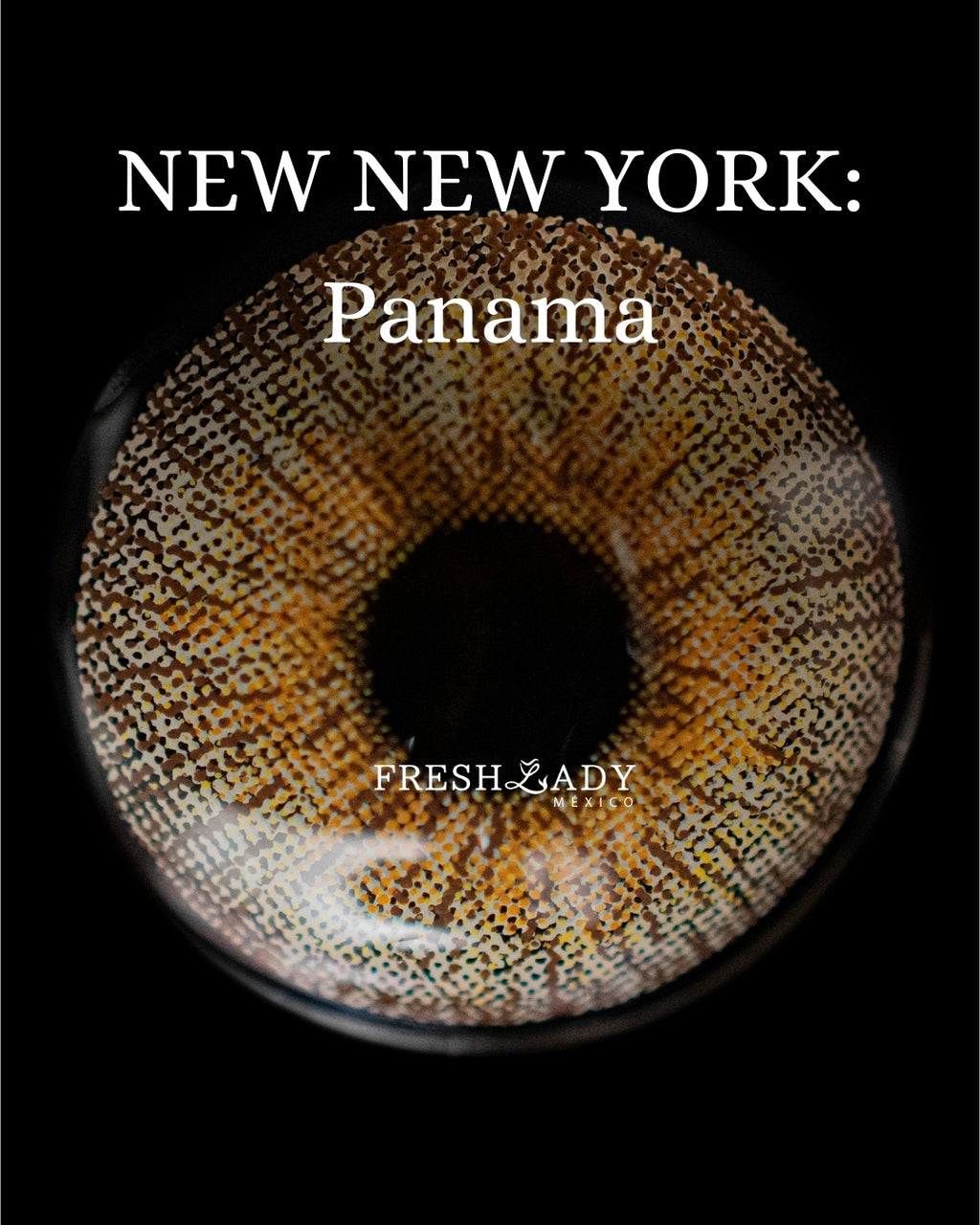 Brown Panama: New New York