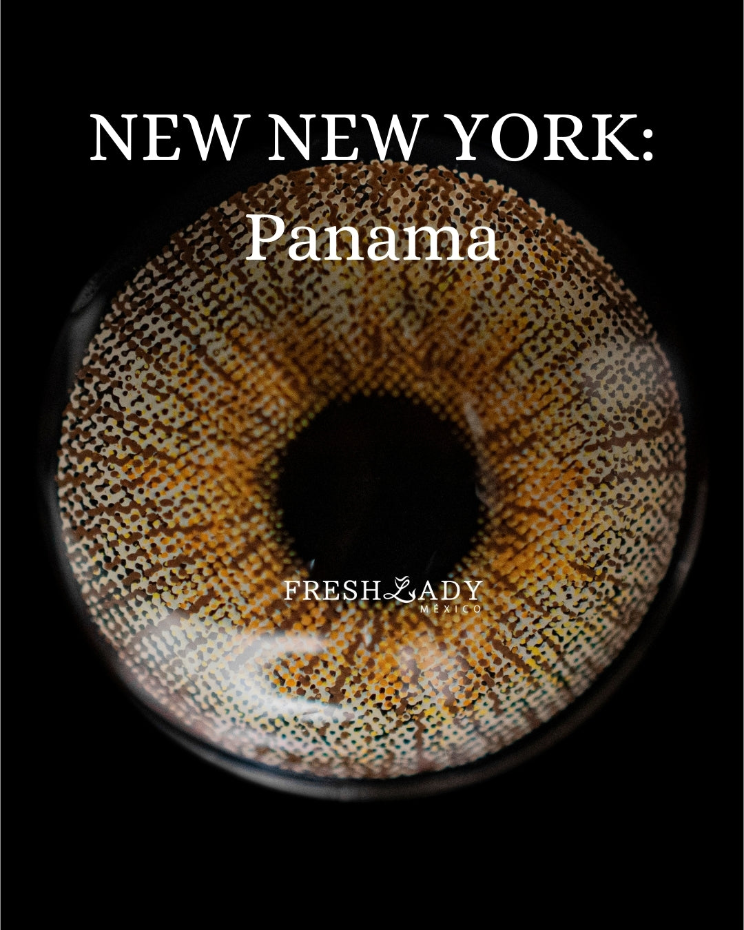 Brown Panama: NEW NEW YORK CAJA de 10 lentes