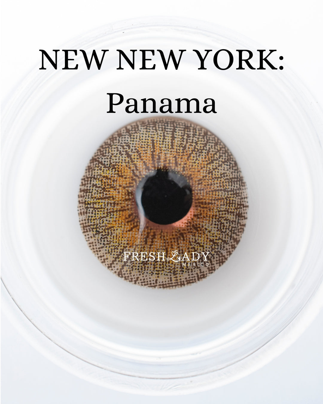 Brown Panama: New New York