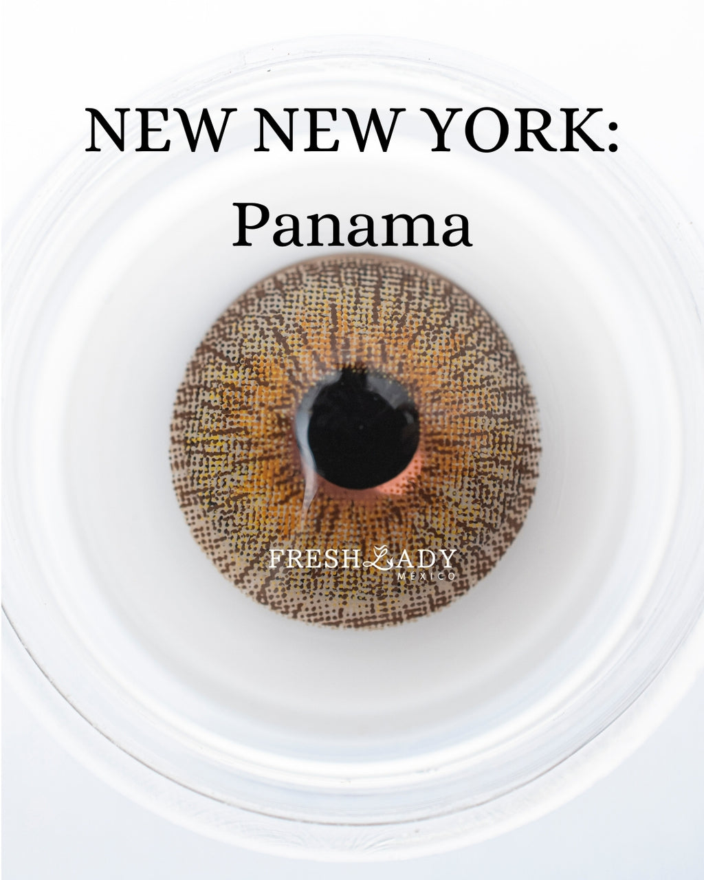 Brown Panama: NEW NEW YORK CAJA de 10 lentes
