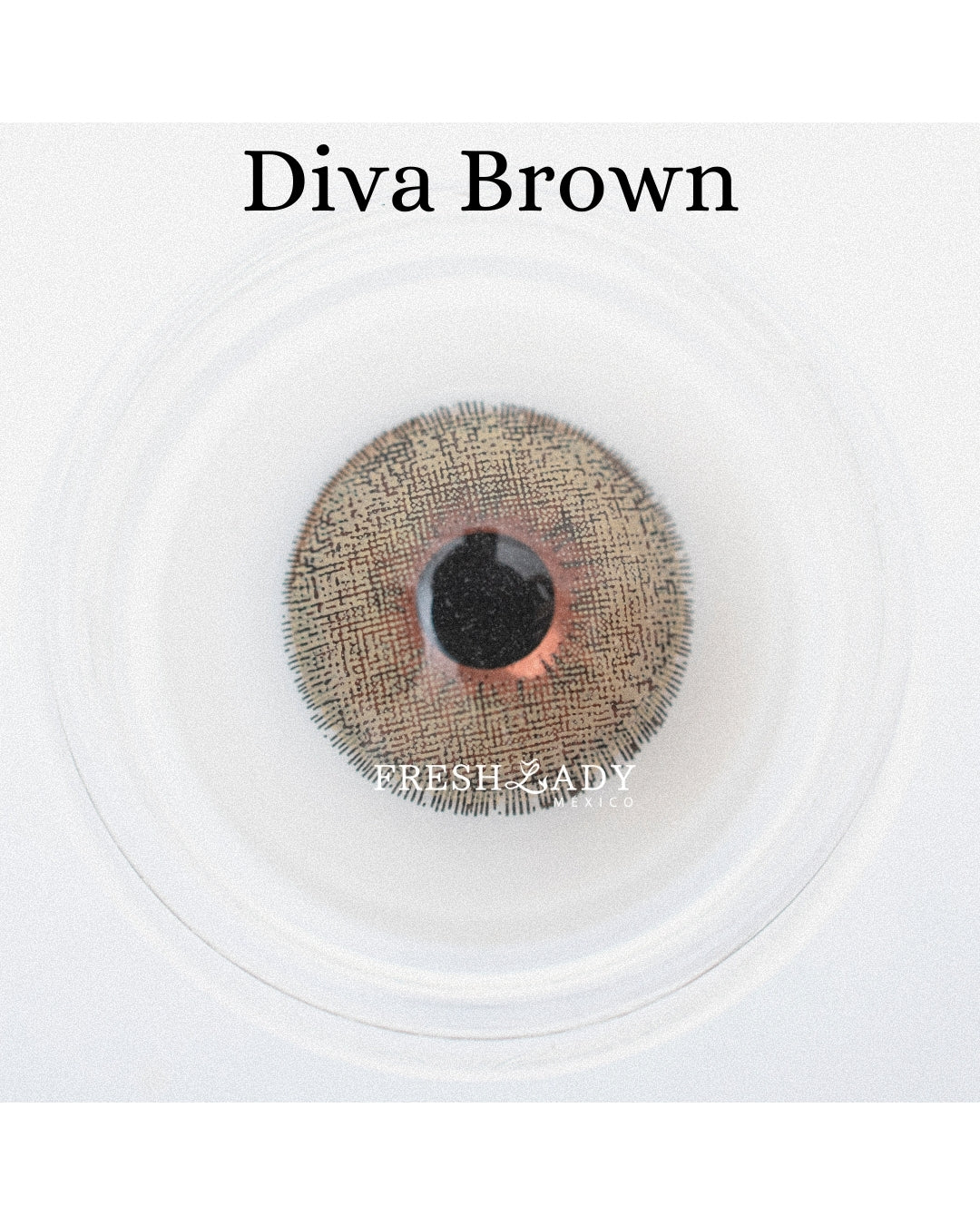 Brown: DIVA CAJA de 10 lentes