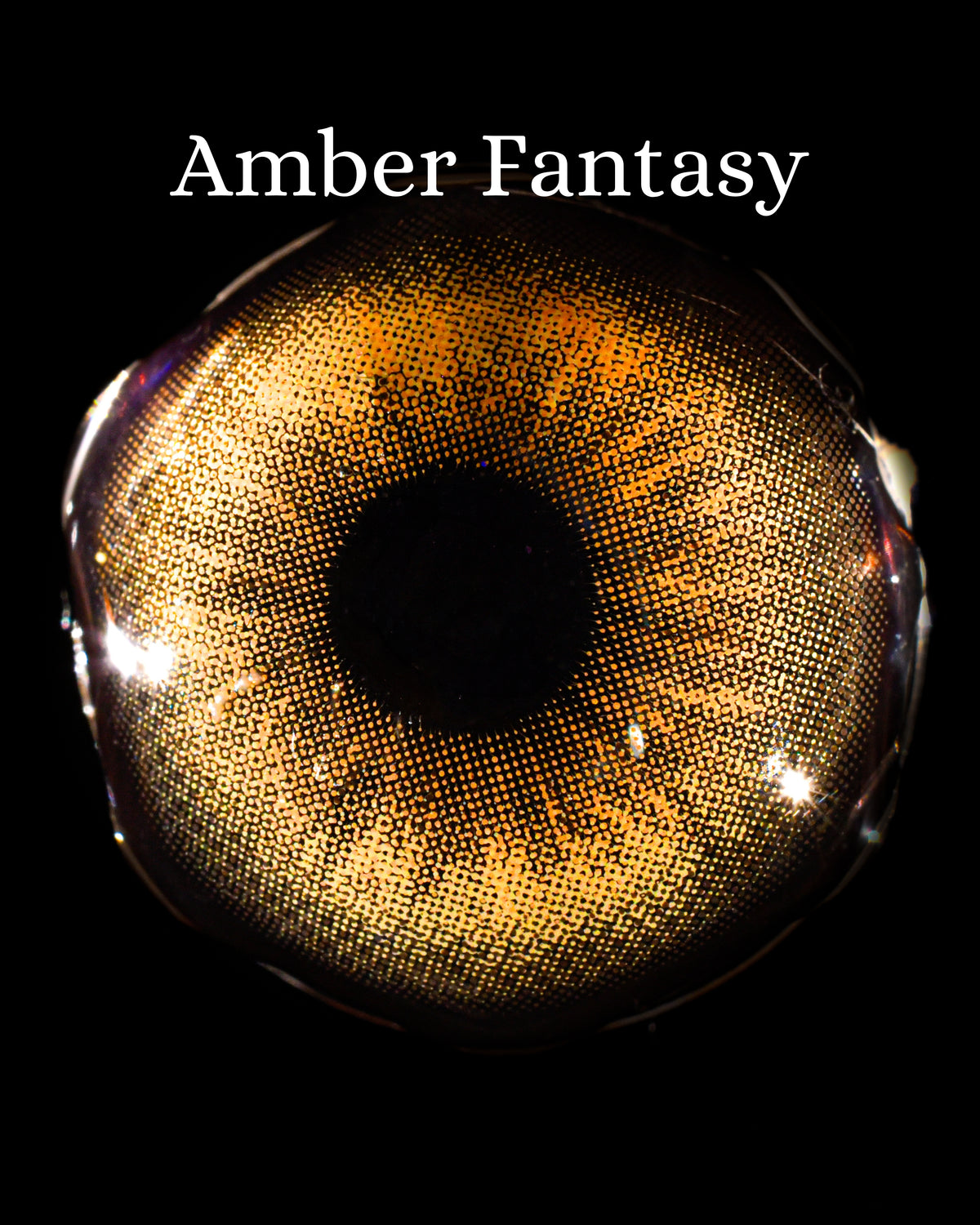 Hazel Amber Fantasy: Glorious Years