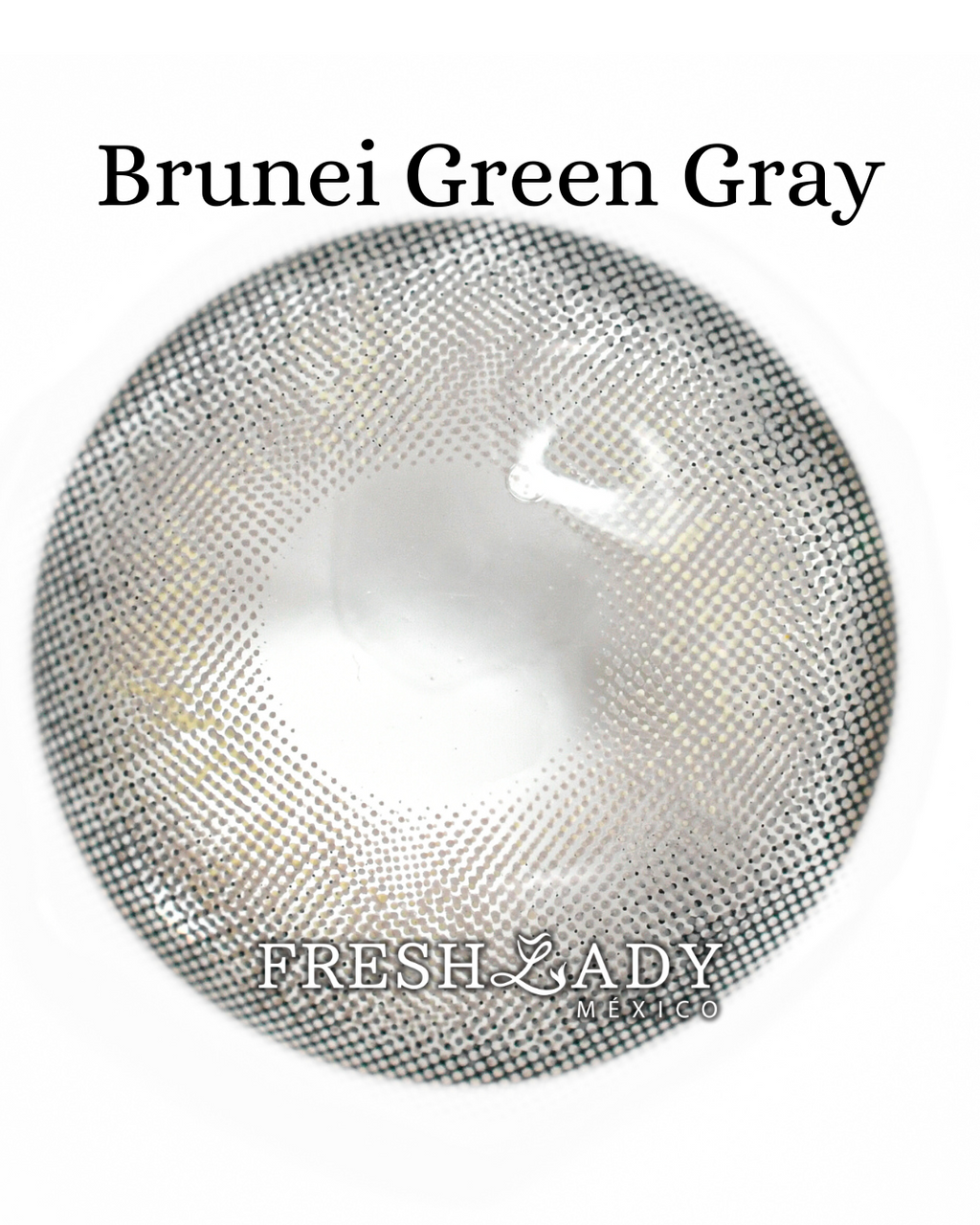 Gray Green: BRUNEI CAJA de 10 lentes