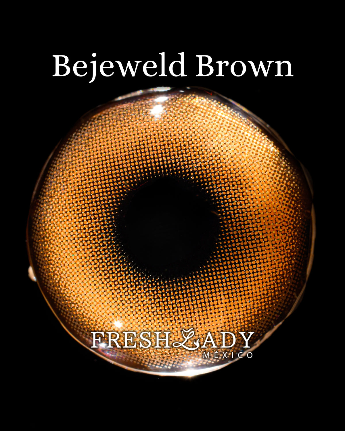 Brown: BEJEWELD CAJA de 10 lentes