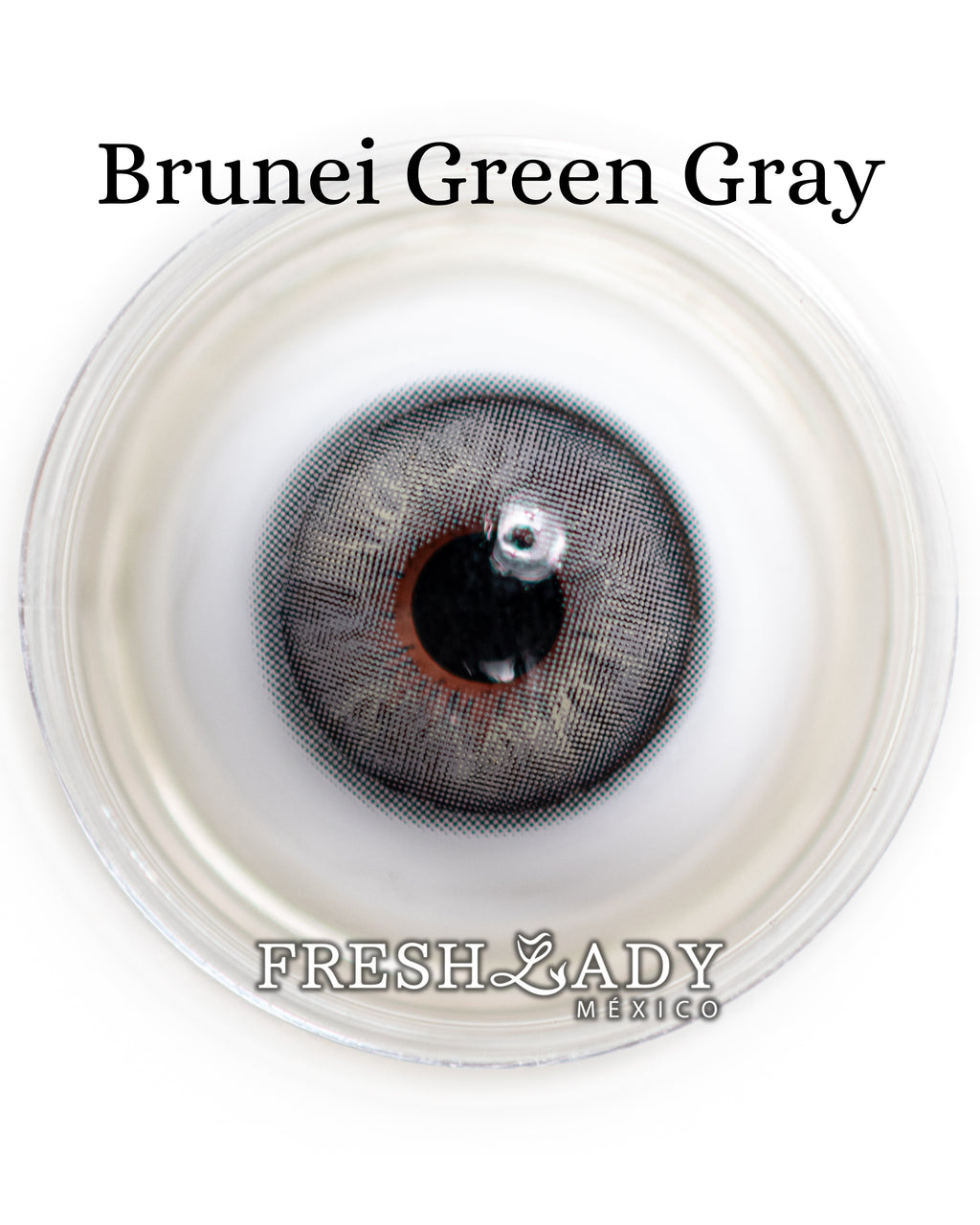 Gray Green: BRUNEI CAJA de 10 lentes