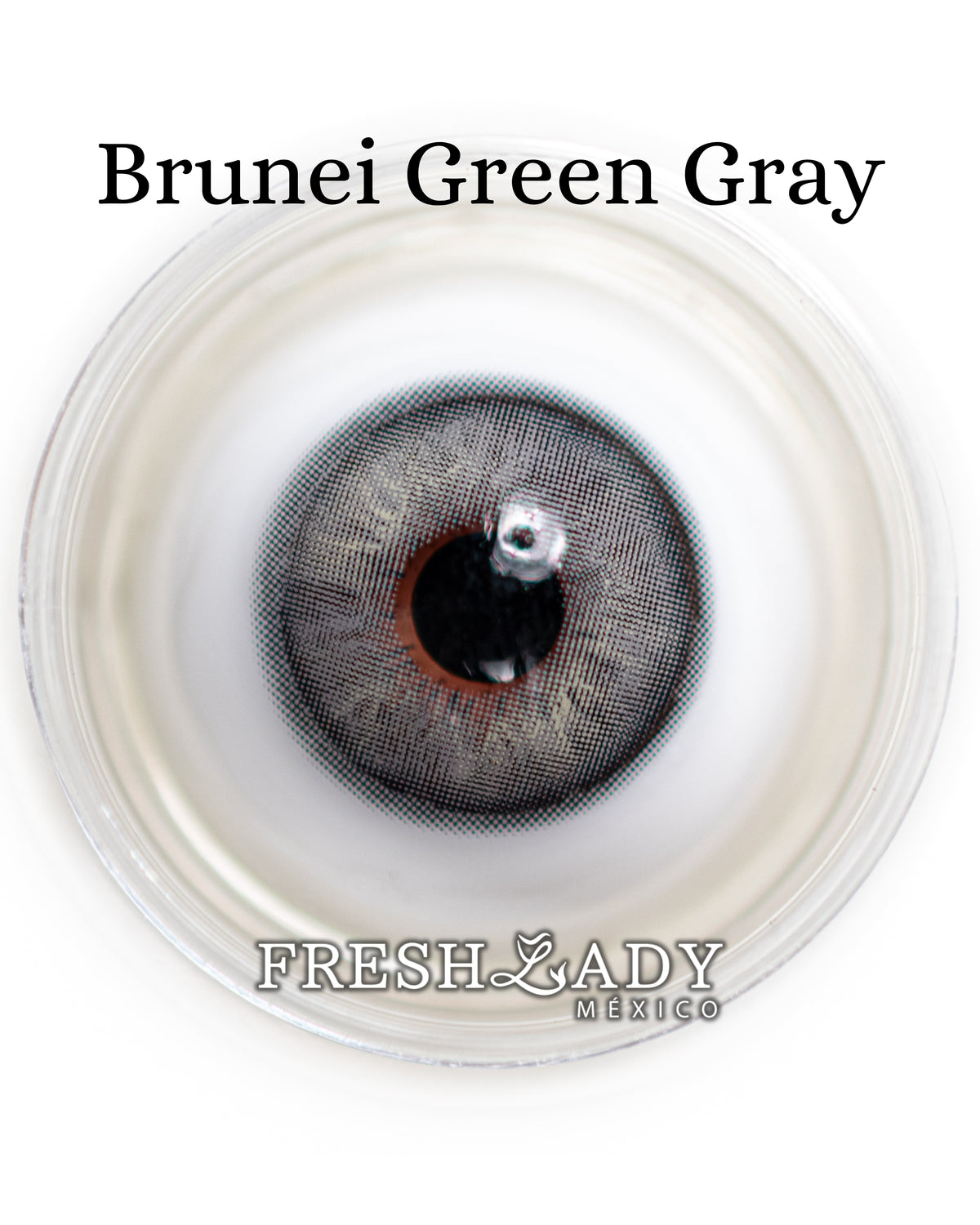 Gray Green: BRUNEI CAJA de 10 lentes