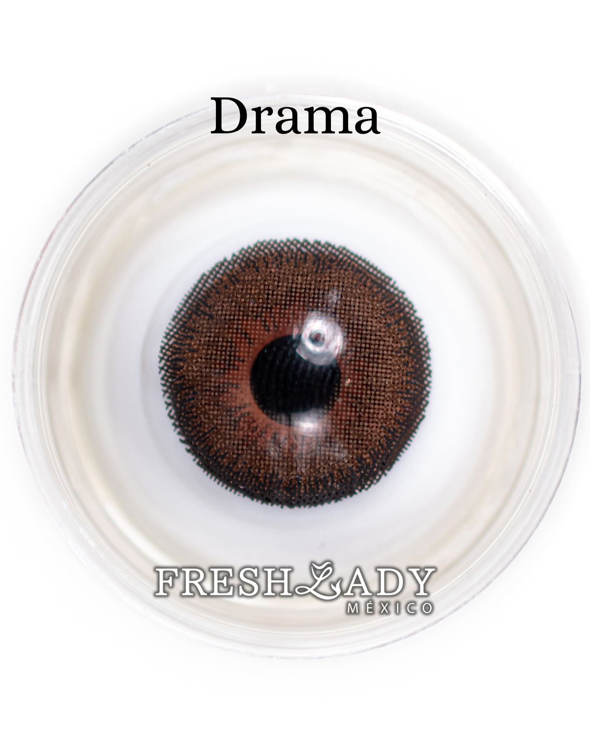 Brown Drama: SMOKY CAJA de 10 lentes