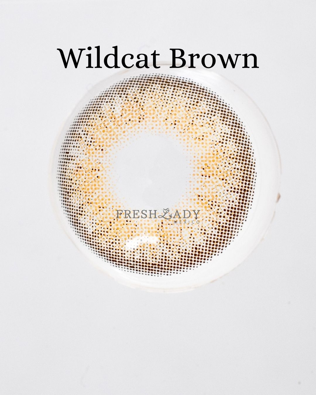 Brown: WILDCAT CAJA de 10 lentes