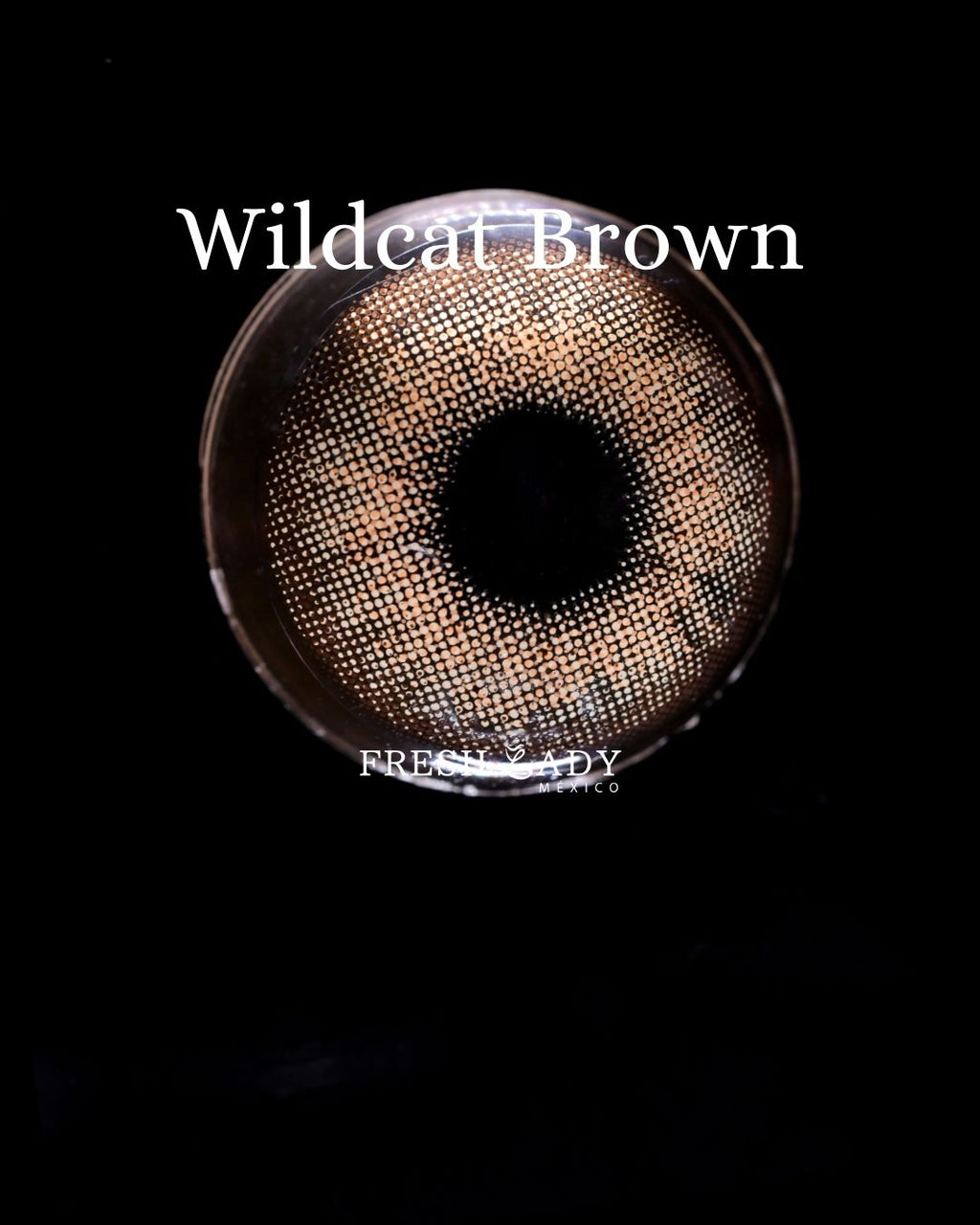 Brown: WildCat