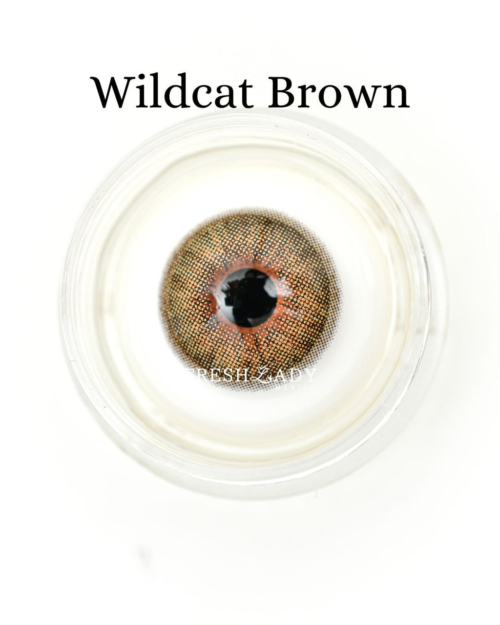 Brown: WildCat