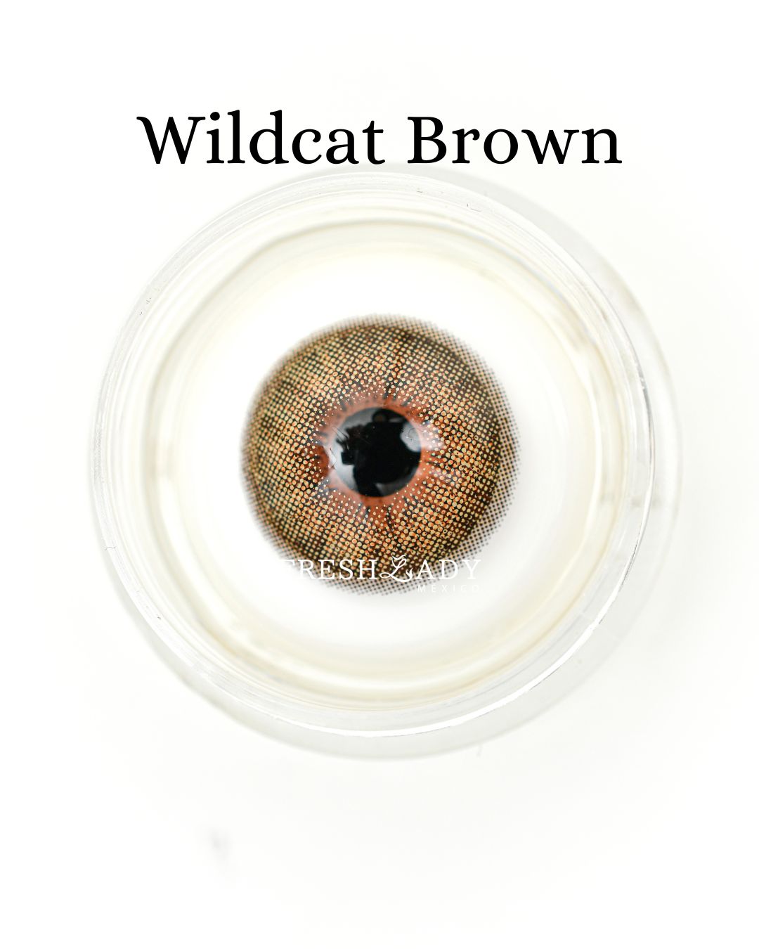 Brown: WILDCAT CAJA de 10 lentes
