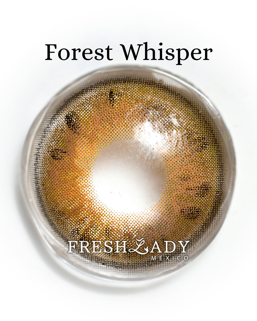 Brown Forest Whisper: ELEVEN CHARM CAJA de 10 lentes