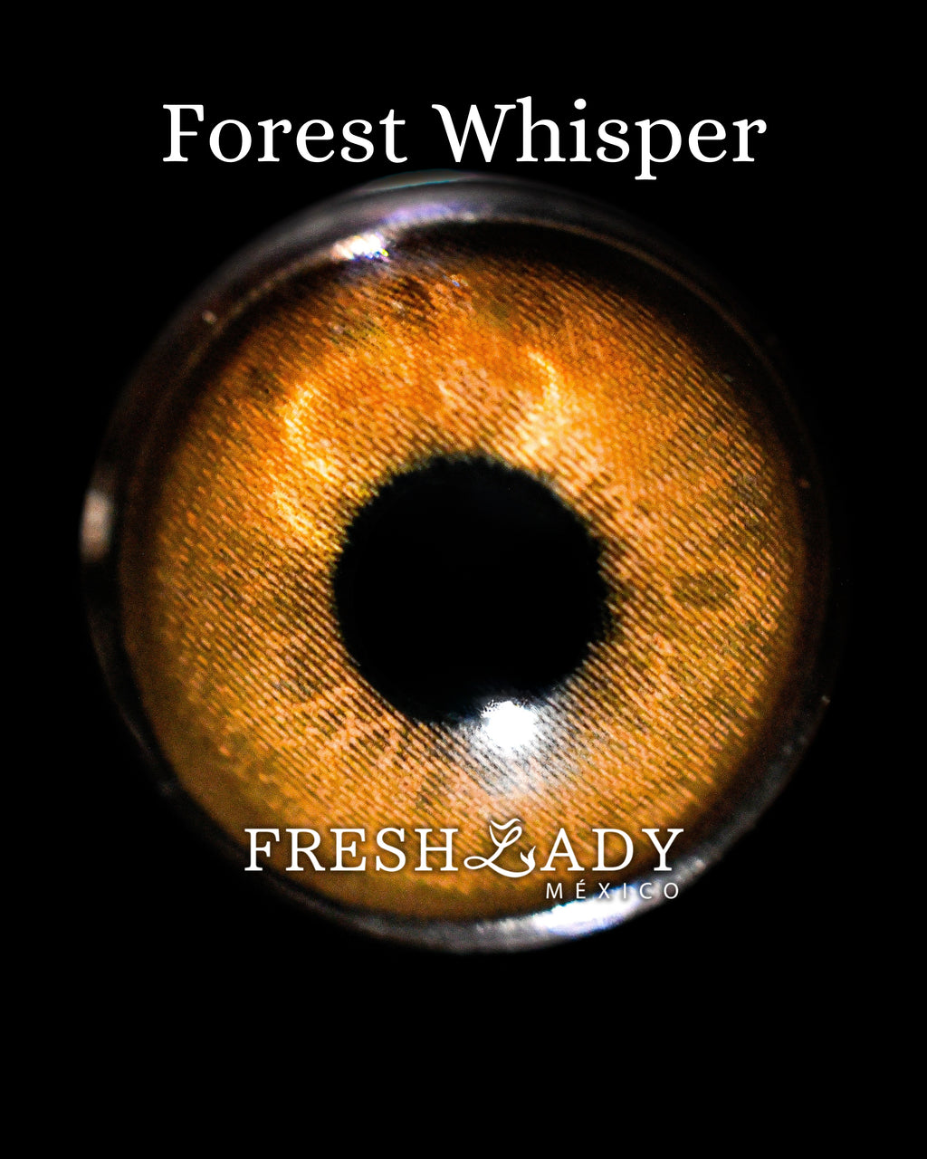 Brown Forest Whisper: ELEVEN CHARM CAJA de 10 lentes