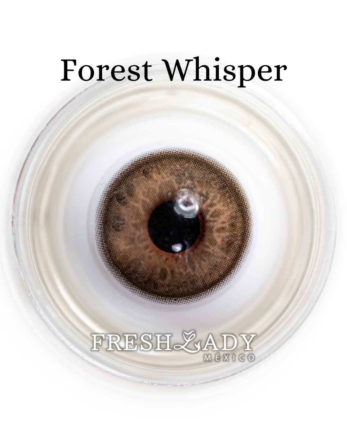 Brown Forest Whisper: ELEVEN CHARM