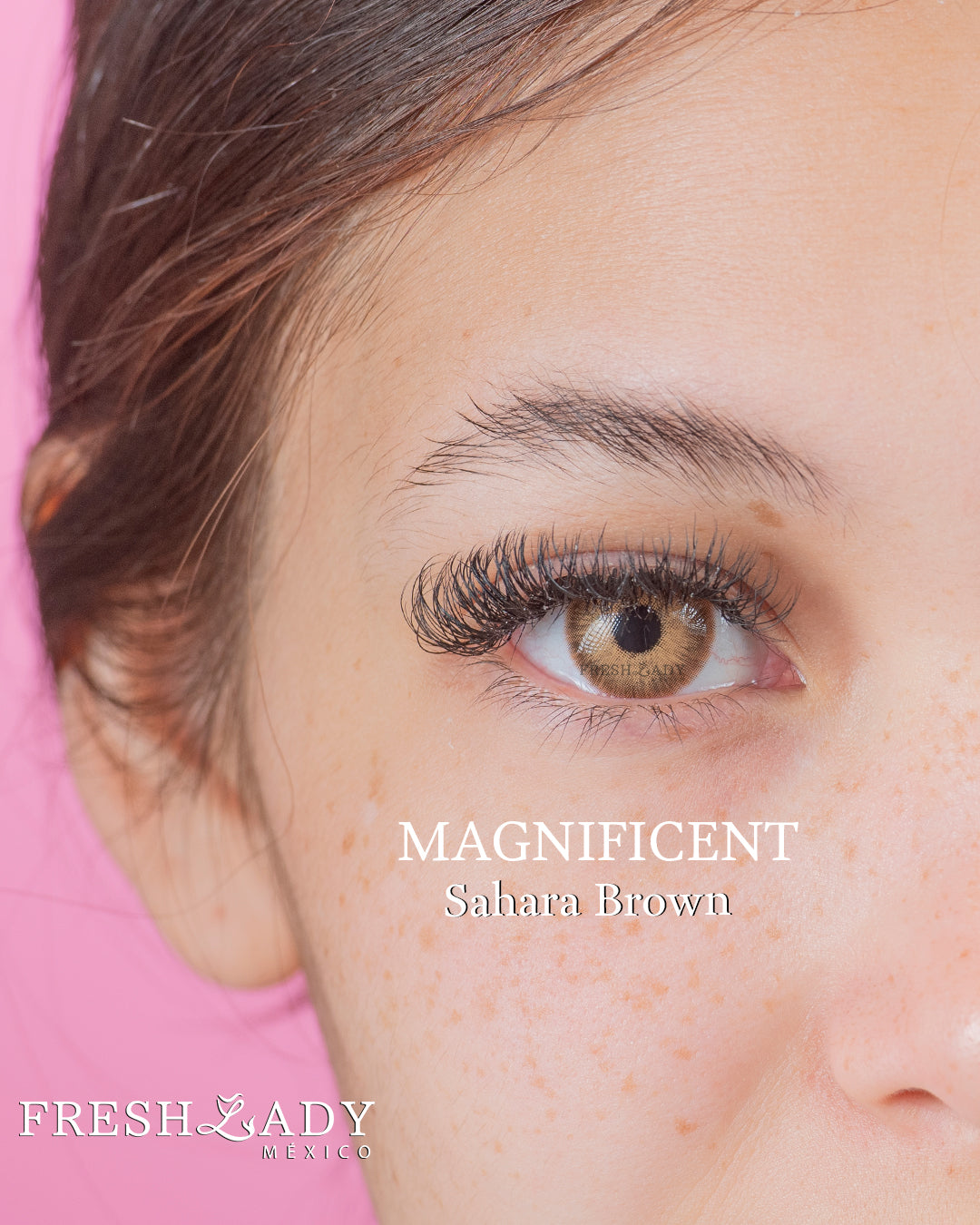 Brown Sahara: MAGNIFICENT CAJA de 10 lentes