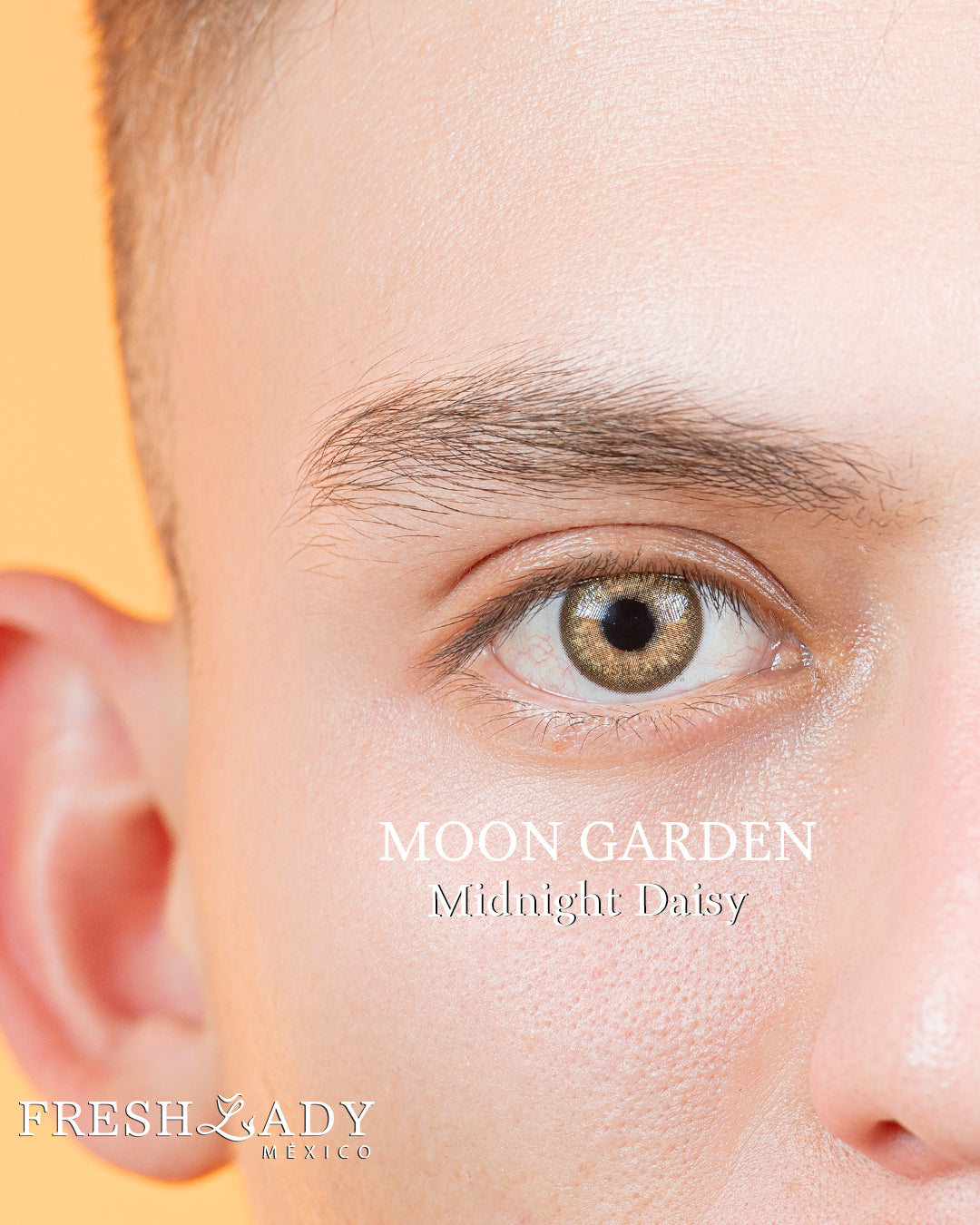 Green Midnight Daisy: Moon Garden