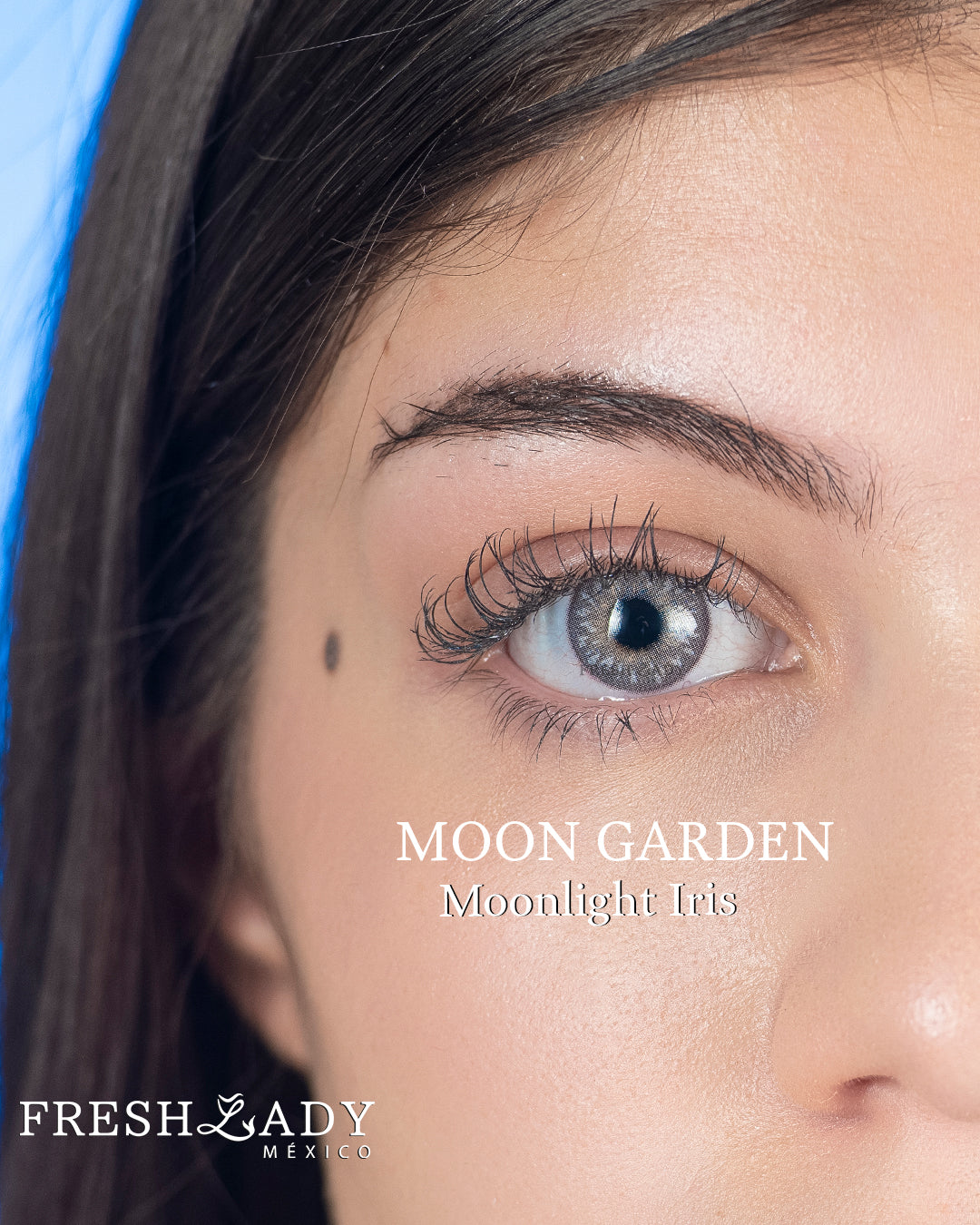 Gray Moonlight Iris: Moon Garden