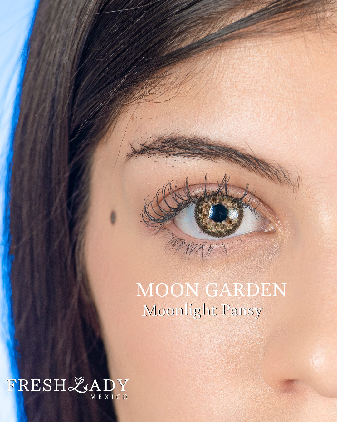 Hazel Moonlight Pansy: Moon Garden