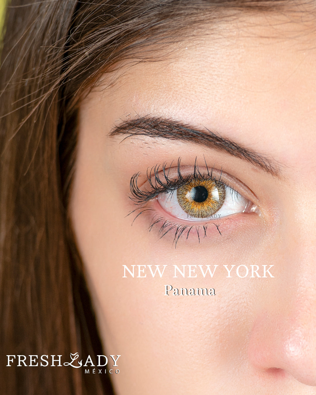 Brown Panama: New New York