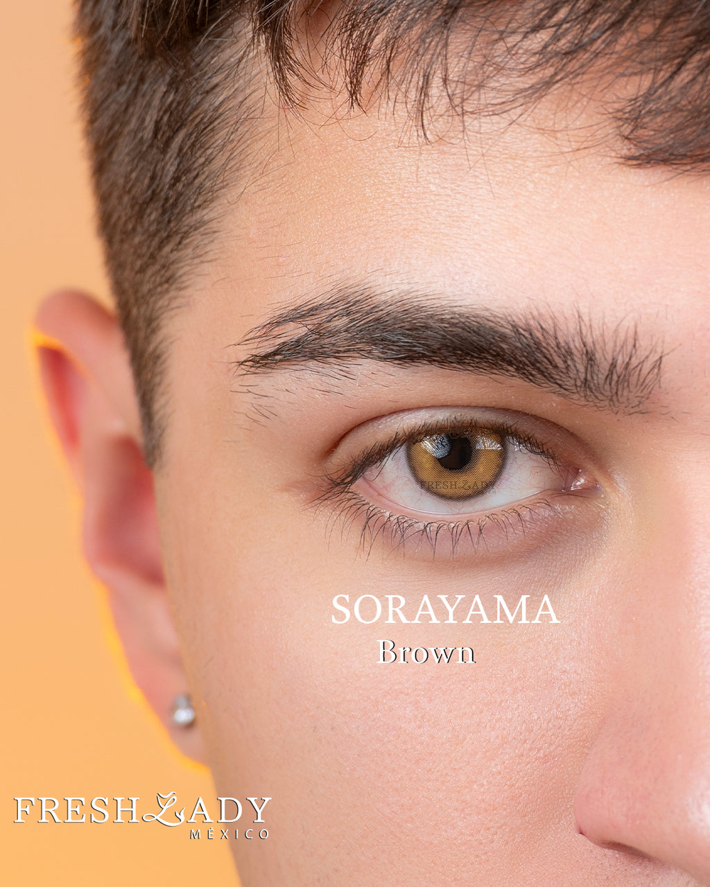 Brown: SORAYAMA