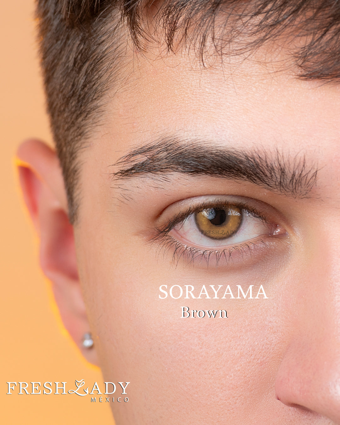 Brown: SORAYAMA