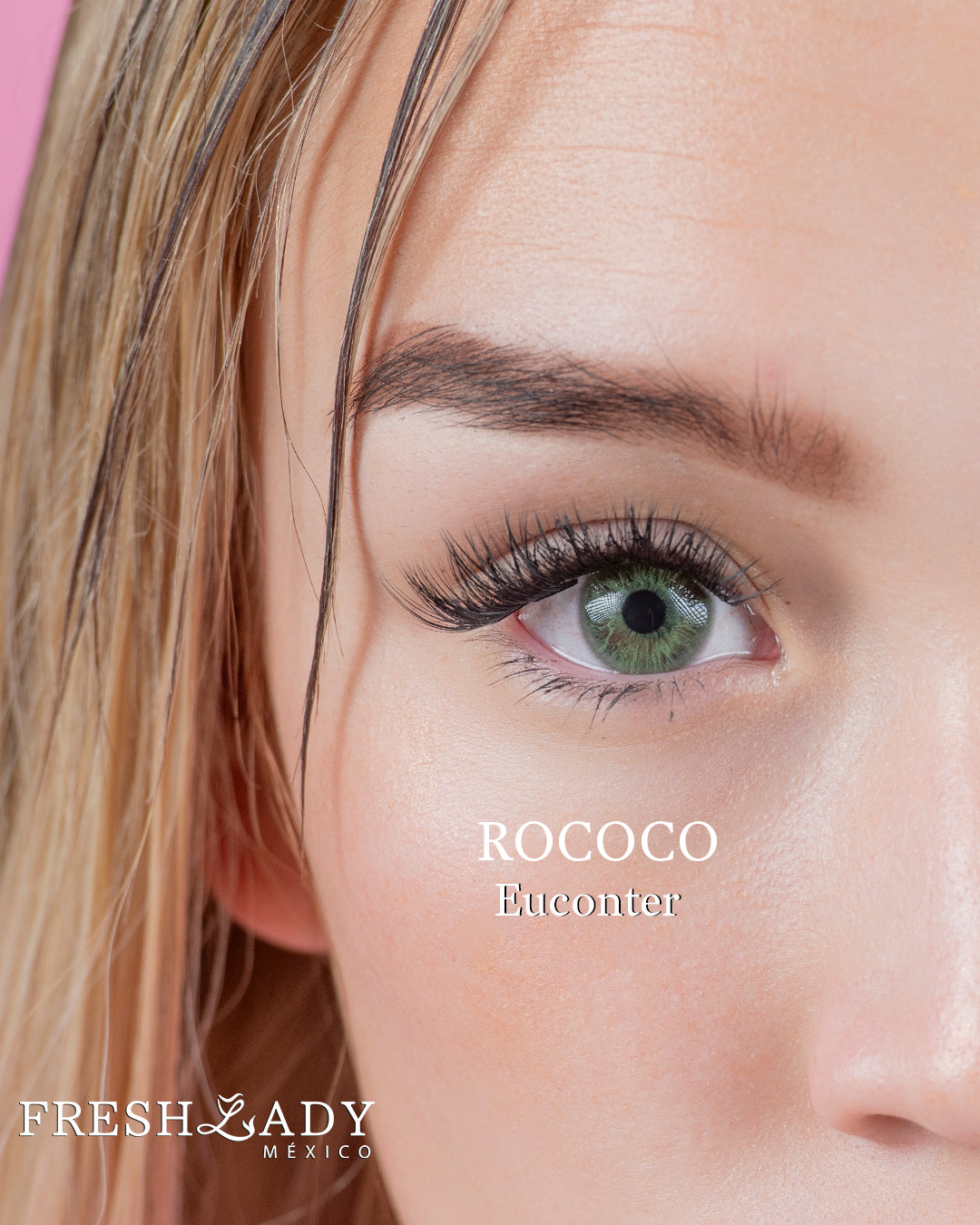 Green Encounter: ROCOCO