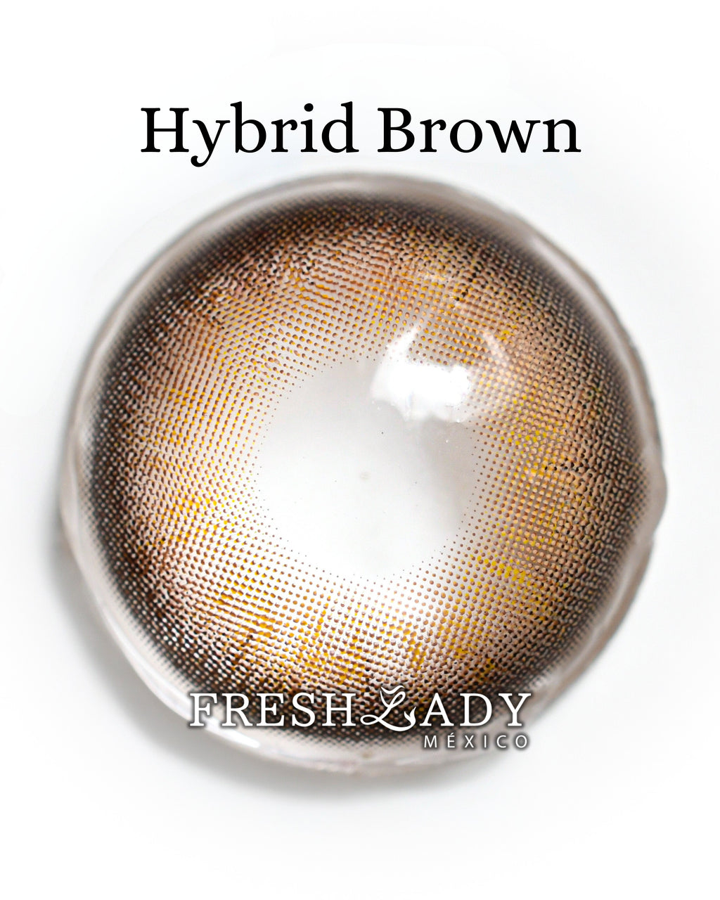 Brown Hybrid: ENIGMA DUALITY CAJA de 10 lentes