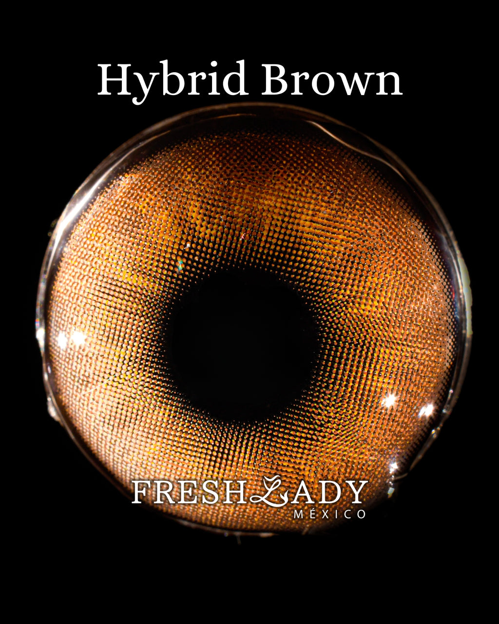 Brown Hybrid: ENIGMA DUALITY