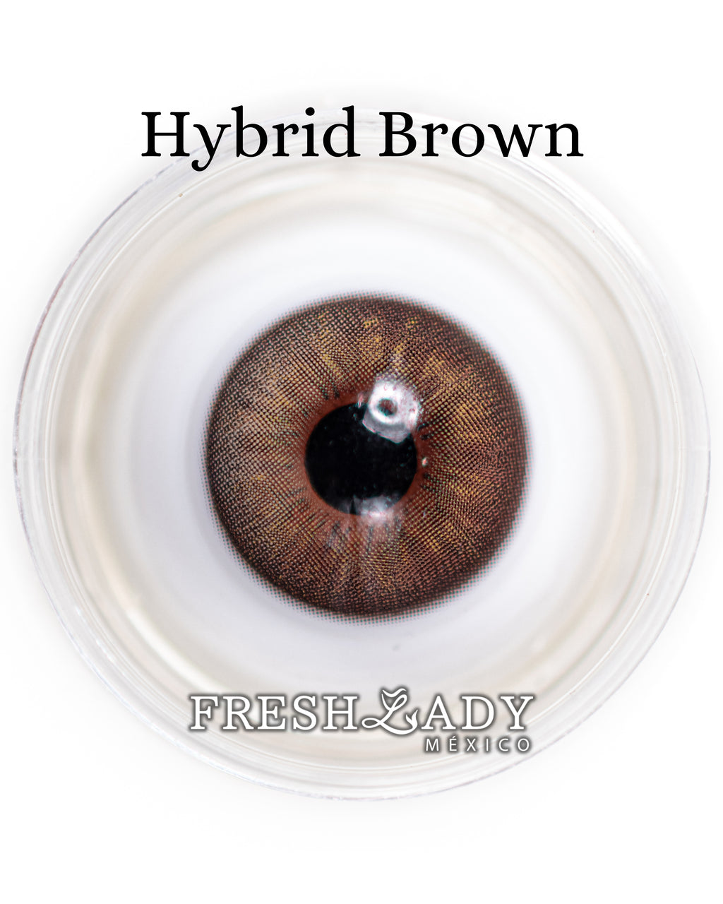Brown Hybrid: ENIGMA DUALITY CAJA de 10 lentes