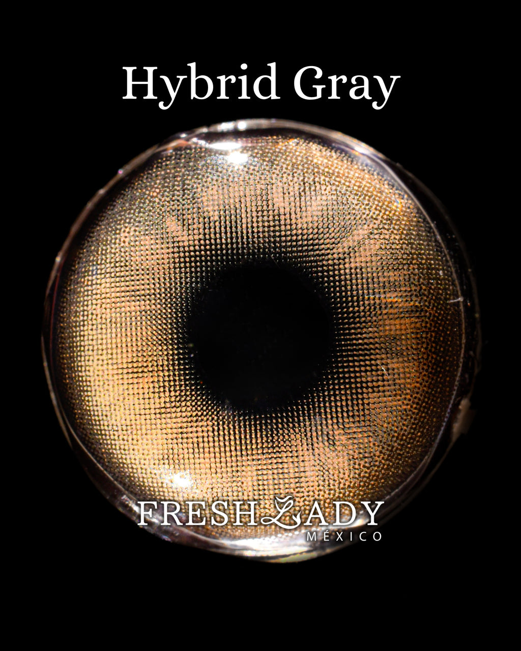 Gray Hybrid: ENIGMA DUALITY CAJA de 10 lentes